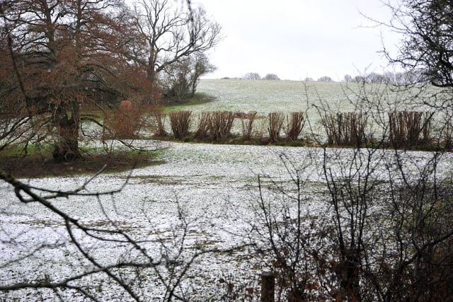 Snowfall in Billingshurst gave the countryside a Christmas-card look today. Pic S Robards SR2303081