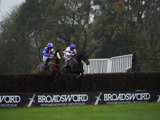 November jump racing at Fontwell Park