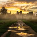 Cowdray Ruins in October by Carrie Davidson