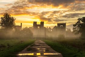 Cowdray Ruins in October by Carrie Davidson