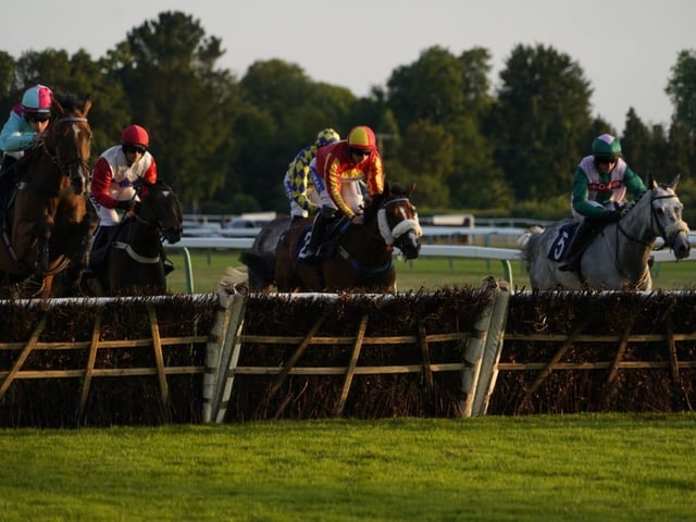 Evening racing at Fontwell Park, June 2025
