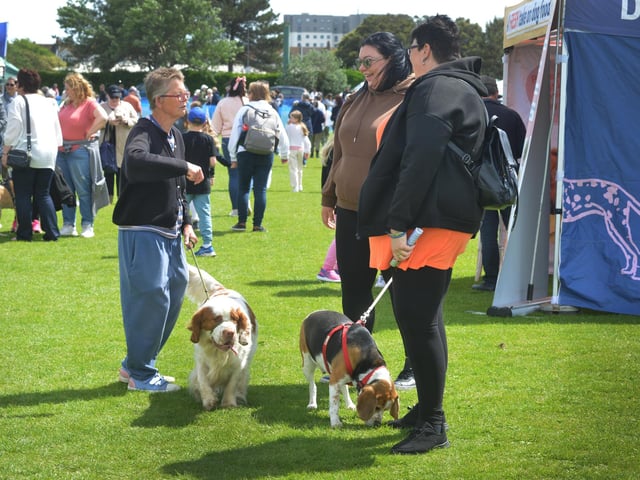 Bexhill Horse & Dog Show 2024.