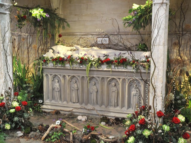 From the bold and colourful installations guiding visitors up the 950-year-old nave, to the wilder and more poignant displays in the side chapels, this year's Festival of Flowers in Chichester Cathedral is an extraordinary feat of community and creativity.