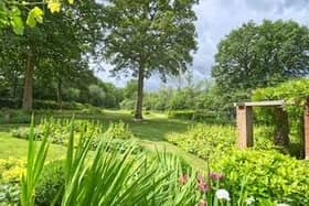 The garden at Bumble Farm near Billingshurst - Judi Lion Photography.