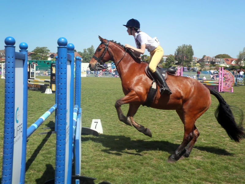 Bexhill Horse Show 2026. Photo by Roberts Photographic