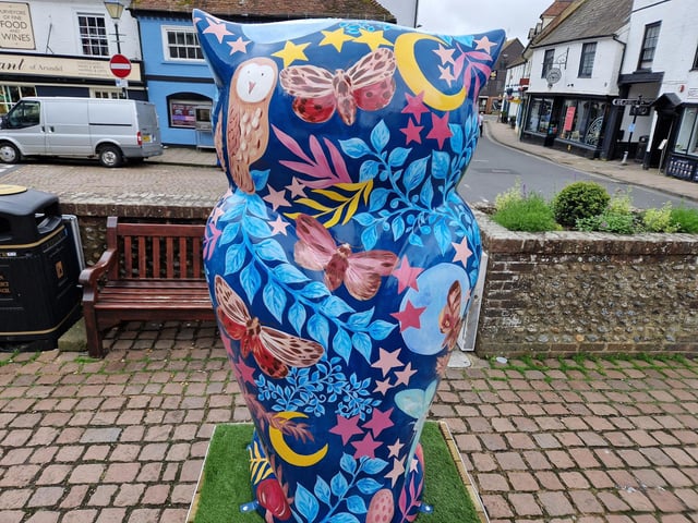 Colourful owls have flown into Arundel as part of the Wild in Art event The Big Hoot trail, raising money for Chestnut Tree House.