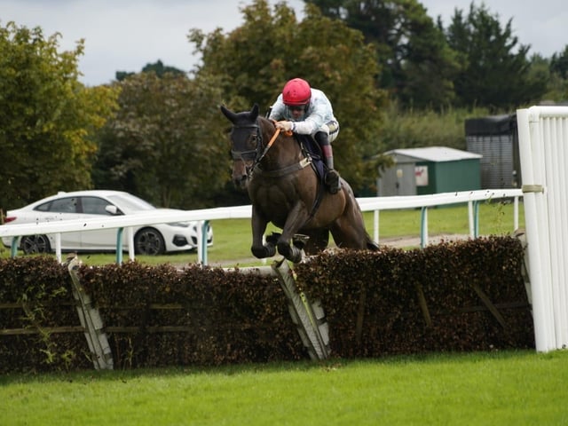 Fontwell Park family fun day September 2024