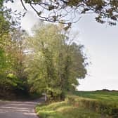 Hadlow Down Road, Crowborough, is currently closed due to a fallen tree. Photo: Google Street View