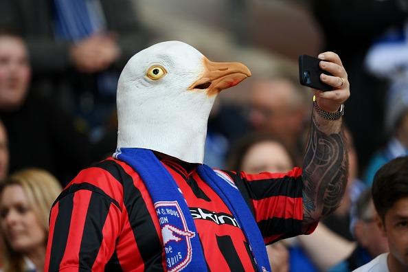 Seagulls at Wembley