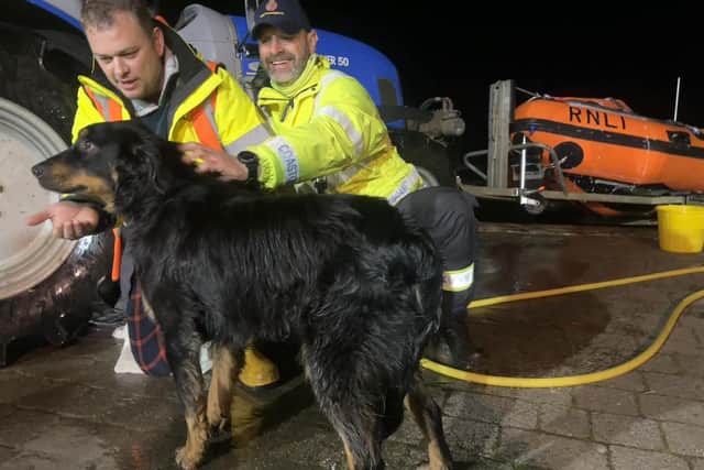 A dog has been rescued after falling into the River Arun in Littlehampton. Photo: Littlehampton Coastguard Rescue Team
