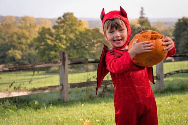 Halloween Trail and Activities at Borde Hill, West Sussex
