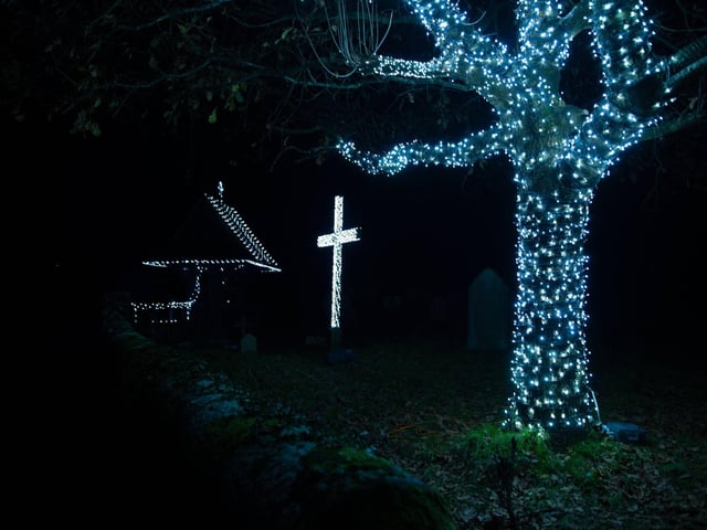 Westfield Christmas lights 2024. Photo by Frank Copper. The event this year has been scaled back significantly.