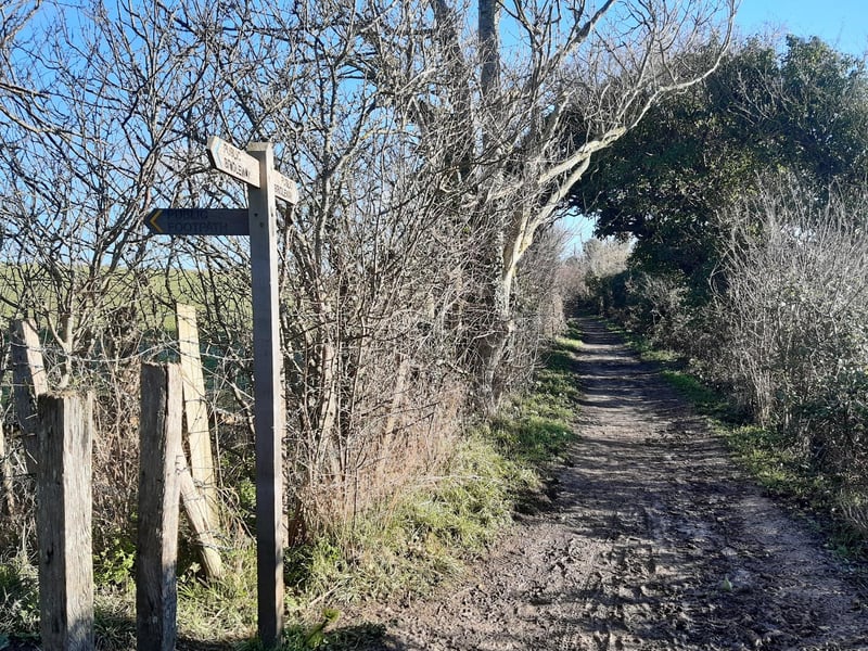 Before long you will be back at that T-junction, where we came down from the top of the hill. We are not going to go back that way.