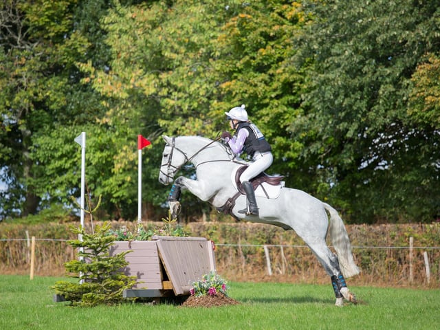 The South of England Agricultural Society’s Autumn Show & International Horse Trials took place at the South of England Showground in Ardingly on September 24-25, 2022