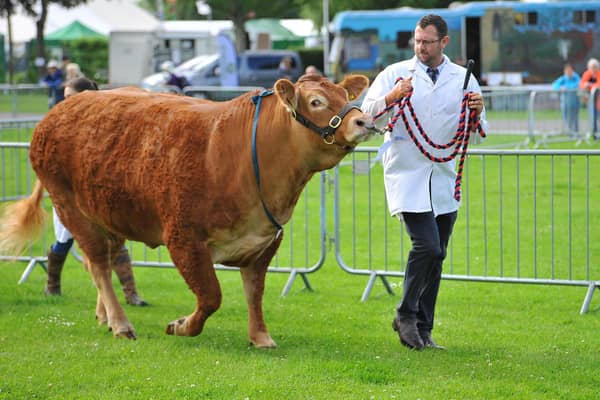 The South of England Show 2022 at Ardingly runs from Friday to Sunday, June 10-12