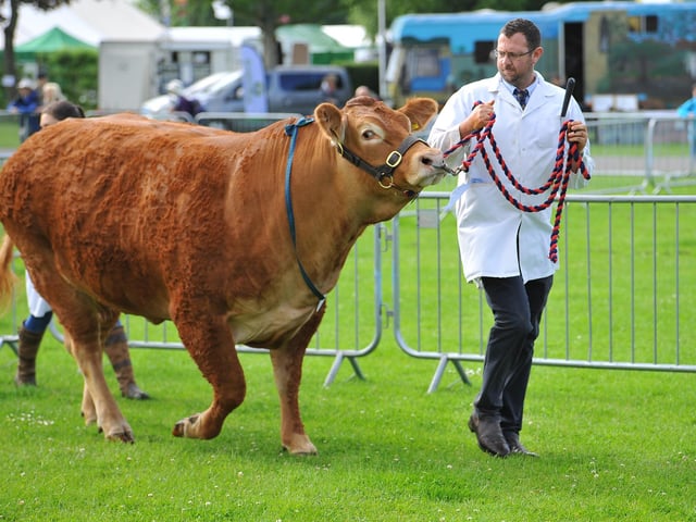 The South of England Show 2022 at Ardingly runs from Friday to Sunday, June 10-12
