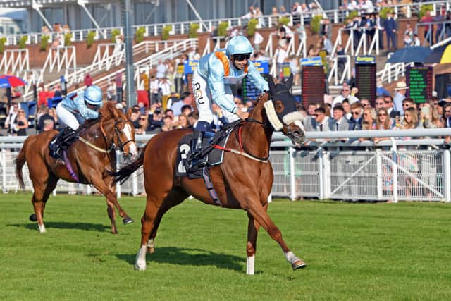Airshow, ridden by Oliver Searle, wins the race run in honour of Frankie Dettori's first win at Goodwood 36 years ago | Picture: Malcolm Wells