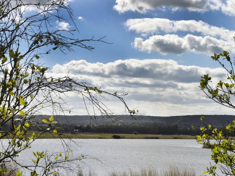 West Langney Lake and the surrounding marshes are home to rare plants and swathes of species not found elsewhere in Eastbourne. There are even grazing water buffalo nearby which belong to the neighbouring school. It's certainly a hidden gem destination for a quiet walk amongst the delightful wildlife.