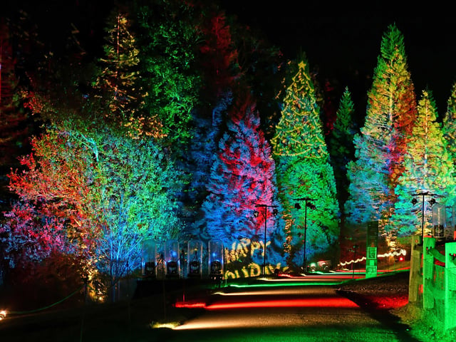 The spectacular after-dark experience which runs from November 18, 2022 until January 2, 2023.
Installations designed by a range of international artists portray the Kent pinetum in a majestic light, beneath unique canopies drenched in seasonal colour and inspired by the landscape to create a festive adventure for all the family.
Tetra Park is a striking new feature by Mandylights, who have been creating incredible artwork experiences in more than 50 countries since 2006.  
It is a geometric piece which explores colour progressions through a complicated series of linear pathways. It is made of large-scale colour-changing stars that have been cleverly programmed to music.

Another new installation will be Digital Rain, by Bespsoke Lighting and Video, who specialise in LED technology. This piece, accompanied by a unique soundscape, is made up of multiple batons where the pixel-controlled LED technology has been programmed to resemble falling rain.