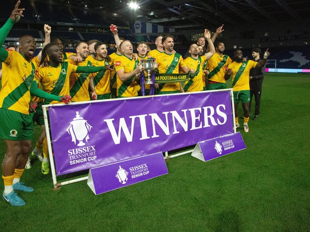 Horsham FC are champions of Sussex again after their last-gasp Sussex Transport Senior Cup final win over Littlehampton Town.