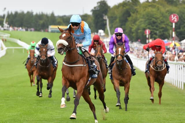 Racing returns to Goodwood on Friday, Saturday and Sunday, with 20 races planned over the holiday weekend | Picture: Malcolm Wells
