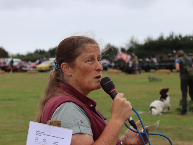Rye and District Country Show