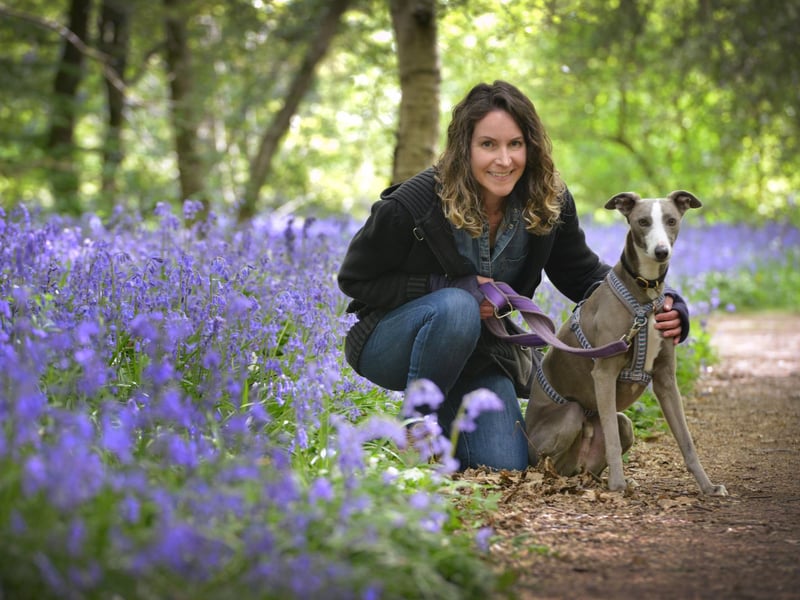 Arlington Bluebell Walk 2022 at Bates Green Farm, Tye Hill Road.
