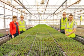 Yapton-based Greenwood Plants has been awarded £2.7million to grown three-million trees for the National Highways project