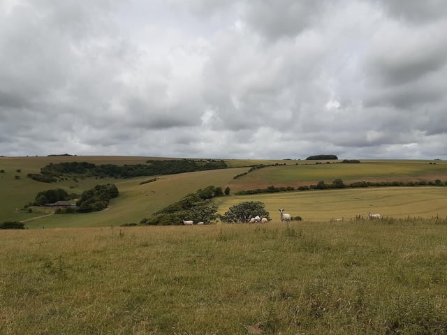 To the right on a hill you can see the Chattri Memorial in the distance (you can barely see it in this picture, it is in the clump of trees) and that is where we are heading.