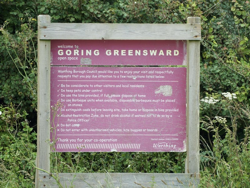 The police are aware of an unauthorised encampment at Goring Greensward – known locally as Goring Gap – and are 'assisting the local authority'.