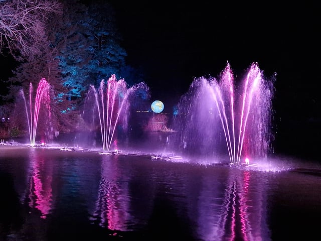 Leonardslee Lights 2024 transports guests into an enchanting world as the gardens come alive with stunning illuminations, captivating large-scale installations, mesmerising fountains and more