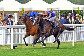 Scandinavia beats Trawlerman to win the Ascot Gold Cup - and the battle could be renewed at Goodwood | Picture by Malcolm Wells