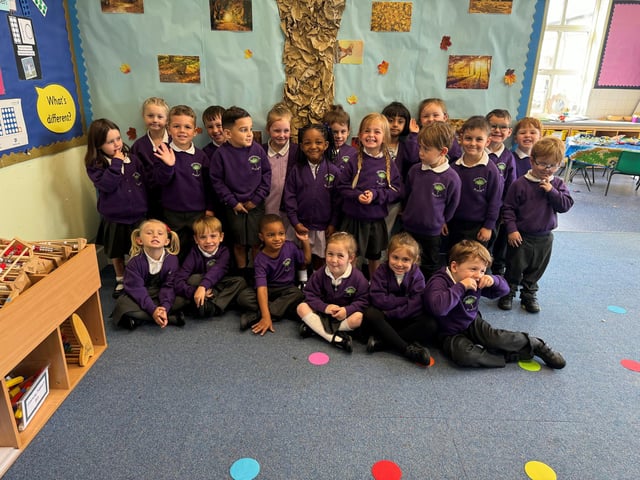 Whytemead Primary School, Worthing, Cherry class