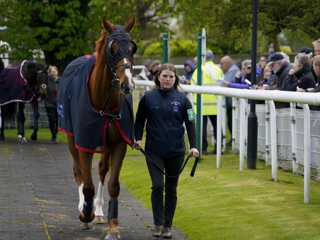 Race 6 The Best Odds Guarenteed At YEEHAA.BET Mares Novices Limited Handicap Hurdle Race at Fontwell on Friday 19 April 2024. www.polopictures.co.uk Fontwell Arundel Clive Bennett 20240419 ©2024 Clive Bennett Photography 19/04/2024 _CAB2686.JPG:Spring jump racing at Fontwell Park