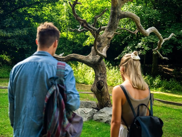 Tattoo Tree by Geraldine Pilgrim. Photo: RBG Kew