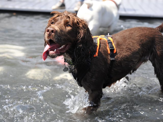 Saturday at Goodwoof 2023. Pic S Robards SR2305201