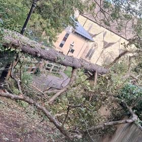 A photograph showing a fallen tree across a bridge – used by crowds leaving Horsham’s fireworks display – has prompted support for the decision to cancel this year’s event. Photo: Jamie 'Stan' Stanley