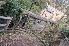 A photograph showing a fallen tree across a bridge – used by crowds leaving Horsham’s fireworks display – has prompted support for the decision to cancel this year’s event. Photo: Jamie 'Stan' Stanley