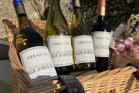 Chile wines for chilly picnics