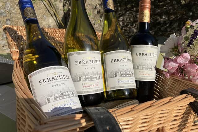 Chile wines for chilly picnics