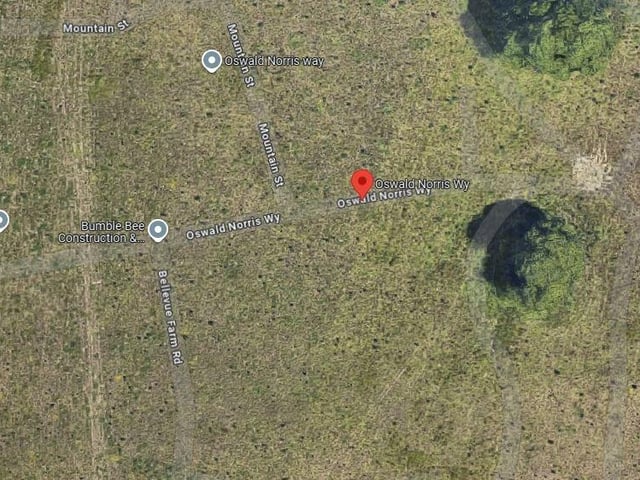A property in Oswald Norris Way (Woodgate, Pease Pottage) was sold for £1,050,000 on January 22.