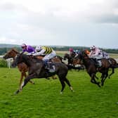 Connor Beasley riding Commanche Falls (L, yellow/black) win the Stewards' Cup at the Qatar Goodwood Festival in 2021 (Photo by Alan Crowhurst/Getty Images)