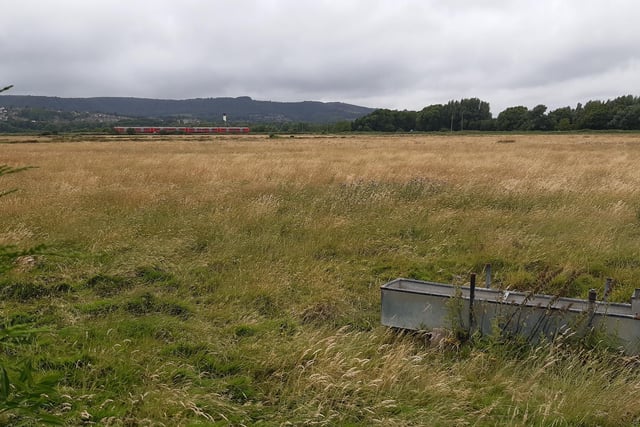 The site where the solar farm could be installed