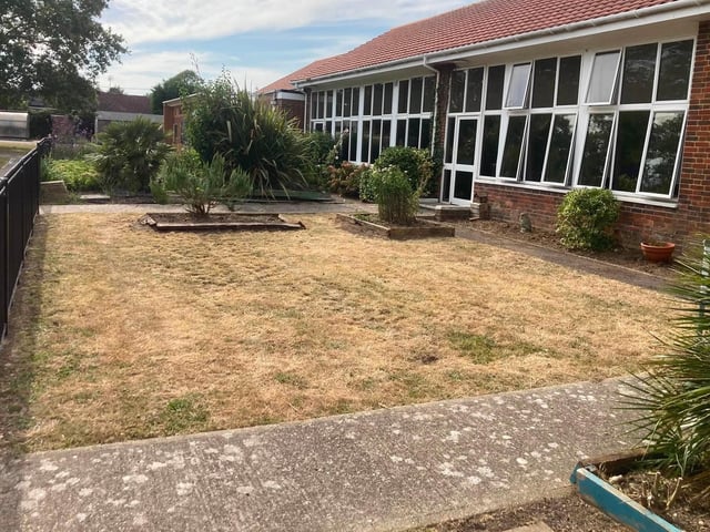 After the Paul Wicks Garden Services free job