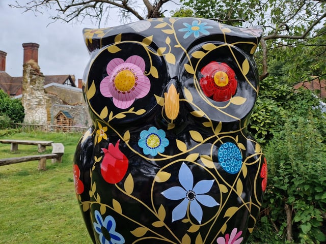 Colourful owls have flown into Arundel as part of the Wild in Art event The Big Hoot trail, raising money for Chestnut Tree House.