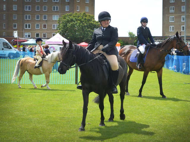 Bexhill Horse & Dog Show 2024.