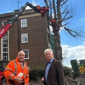 Cllr Robert Smart with contractors removing a dead street tree on Compton Street. Photo: Eastbourne Conservatives