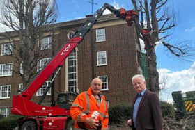 Cllr Robert Smart with contractors removing a dead street tree on Compton Street. Photo: Eastbourne Conservatives