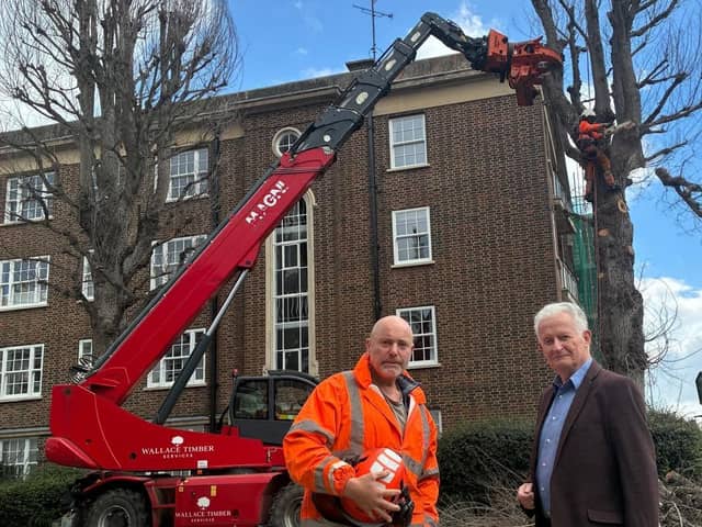 Cllr Robert Smart with contractors removing a dead street tree on Compton Street. Photo: Eastbourne Conservatives