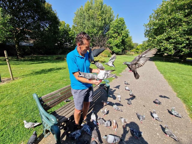 Billy said he often treats ‘weak and dehydrated’ pigeons before taking them to Beach House Park in Worthing – where they are regularly fed by the public